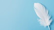 illustration of a soft white feather on a llight blue background with copy space