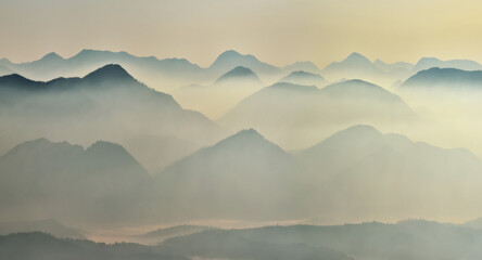 Wall Mural - silhouettes of morning mountains. foggy morning in the Carpathians. Mountain landscape