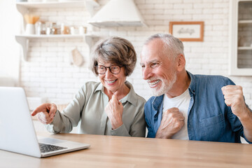 Receiving money, prize. Celebrating victory in lottery, online casino bets. Caucasian old senior couple using laptop for videocall with grandparents