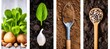 Collage of gardening and landscaping tools in bright white style, divided with vertical lines