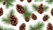 Pine Cones And Fir Branches Vector Graphic Illustration. Isolated Fir Branches And Cones. Pine Cone, Tree Branch Sketch Design. Decorative Nature Elements, Christmas Holidays Graphic Design