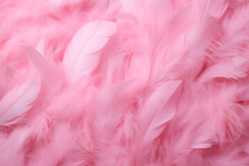 Wall Mural - pink feathers texture background