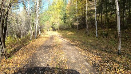 Wall Mural - Video of driving along muddy mountain road along Altai river Kumir in Autumn.