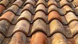 Terracotta roof tiles display a pattern under the sunlight