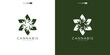 abstract marijuana, cannabis for cbd logo design