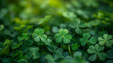 Fototapeta Tęcza - clover leaves, Natural green background with fresh three-leaved shamrocks. St. Patrick's day holiday symbol. Top View, green background clover leaf bokeh lights defocused, Ai generated image