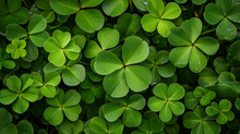 Green Clover Background, Green Clover With Dew On Leaves, St. Patrick's Day Concept, Green Background Clover Leaf Bokeh Lights Defocused, Ai Generated Image