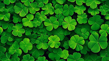 Shamrock Four Leaf Clover Background For St Patrick's Day Celebration
