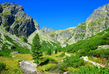 Poster - Mala Studena Dolina in Vysoke Tatry (Tatra Mountains), Slovakia.