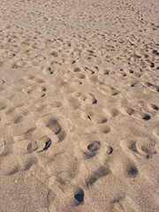 Wall Mural - 
A close-up of the sand on the beach. 