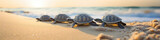 Fototapeta  - A row of turtles slowly making their way across the beach,  a serene and timeless scene