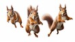 three jubilant squirrels engaged in a friendly game of acorn tag, their bushy tails adding a dynamic touch to the scene against a pure white setting.