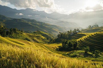 Golden hour over the expansive rice terraces of Bali, with a warm glow settling on the landscape