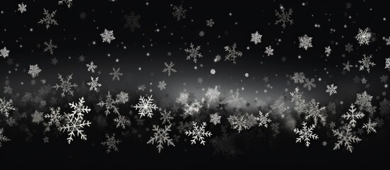 Poster - Black backdrop with snowflakes