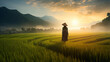 Woman standing in rice paddy sunrise