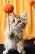 Small Kitten Playfully Engaging With Yarn Ball in Charming Display of Cat Behavior