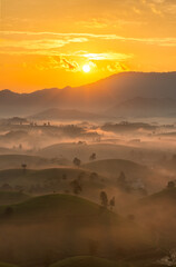 Wall Mural - Sunrise on Long Coc tea hill, Phu Tho province, Vietnam.