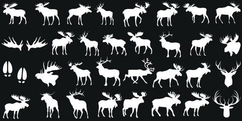 Wall Mural - moose silhouettes, moose vector collection, wildlife, nature, antlers. diverse set, various poses, a