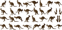 Kangaroo Silhouettes, Various Poses Of Kangaroos , Jumping, Standing, Isolated On White Background. Perfect For Wildlife, Nature-themed Designs, Educational Content, And More