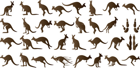 Wall Mural - kangaroo silhouettes, various poses of kangaroos , jumping, standing, isolated on white background. 