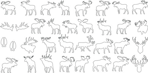 Wall Mural - moose line art vector, moose outline collection. detailed illustrations, various poses, activities. 