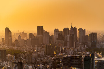 Wall Mural - Skyline of tokyo city with gold light sunset or sun rise sky background in winter season, Tokyo, Japan
