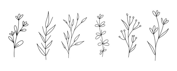 Set of botanical line art floral leaves, plants. Hand drawn sketch branches isolated on white background. Vector illustration	