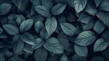 Background Of Abstract Leaves With A Focus On Aesthetic Minimalism. The Composition Features A Dark Backdrop Providing Ample Copy Space, Highlighted By A Trendy Sage Color Palette.