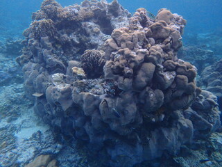 Wall Mural - view of underwater colour with deep blues in sumatra indonesia