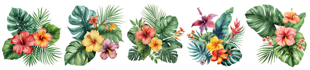 Wall Mural - Tropical watercolor flowers isolated on transparent background. 