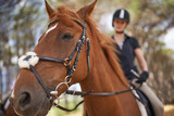 Horse, closeup and equestrian riding in nature on adventure and journey in countryside. Animal, face and rider outdoor with hobby, sport or pet on farm, ranch and girl training on trail in summer