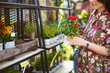 Woman shopping for flowers in garden centre variation of plants
