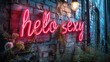 © Friedbert - A neon sign that says hello sexy on a brick wall
