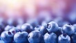 Fresh Blueberries in Mystical Light