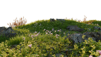 Poster - Verdant Hill Blooming with Yellow Flowers in Spring. 3D render.