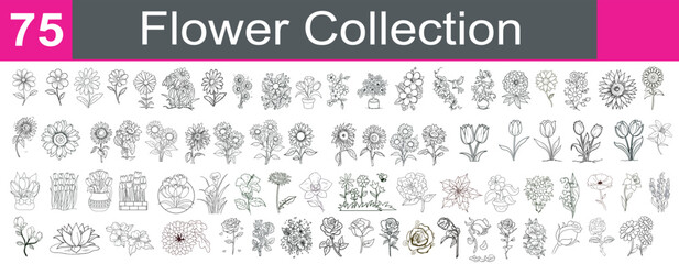 Flower Collection vector illustration. Flower big set. Rose, Lily, Tulip, daisy, lotus, sunflower and more.  Simple Design Outline Style. isolated on white background. flowers drawing with line art. 