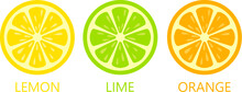 Citrus Fruit Icons, Lemon Lime And Orange Slice