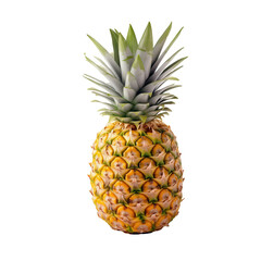 Wall Mural - Pineapple isolated on transparent background