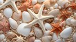 Starfish and seashells collection, can be used as a background