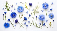 Vegetative Composition With Flower Of Blue Cornflowers In Flat Lay Style And Top View.