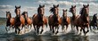 With their strong muscles showing through their silky coats, a magnificent herd of American Quarter horses galloped across the glistening waters.