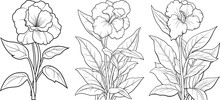 Hand-drawn Line Art Set Of Beautiful Black And White Flowers, Floral Illustration Coloring Page