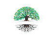 circle  tree logo template. gorgeous oak tree and roots illustration. circular tree.