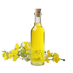 Wall Mural - A Bottle of Light Canola Oil.. Isolated on a Transparent Background. Cutout PNG.