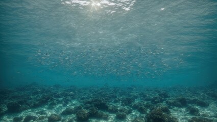 Wall Mural - a vast school of Jacks swimming elegantly in the pristine waters