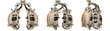 © Mykola - 3d rendering of futuristic lungs or humanoid cybernetic organs. Set or collage of three different angles. Isolatend on transparent background