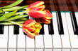 Tulips on the piano. The concept of romantic music and melodies.