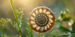 Pflanze in Form eines Fibonacci, ai generativ