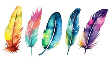 Set Of Bird Feathers On Transparent Background