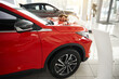 © Svitlana - Pretty delighted woman hugging her new car choosing automobile in dealership